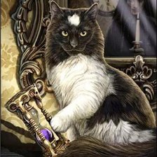 Схема вышивки «Gato.»