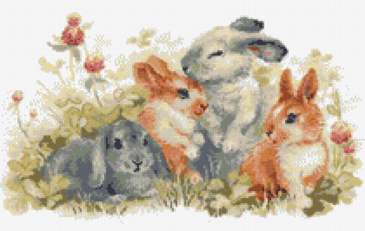 Семья кроликов - семья, лес, животные, заяц, крольчата, зайчики, кролик - предпросмотр