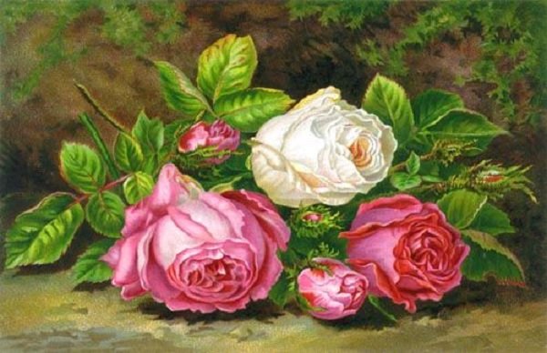 Boque de rosas. - flores.rosas. - оригинал