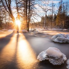 Схема вышивки «Природа»