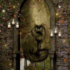 Схема вышивки «Gato em um portal.»