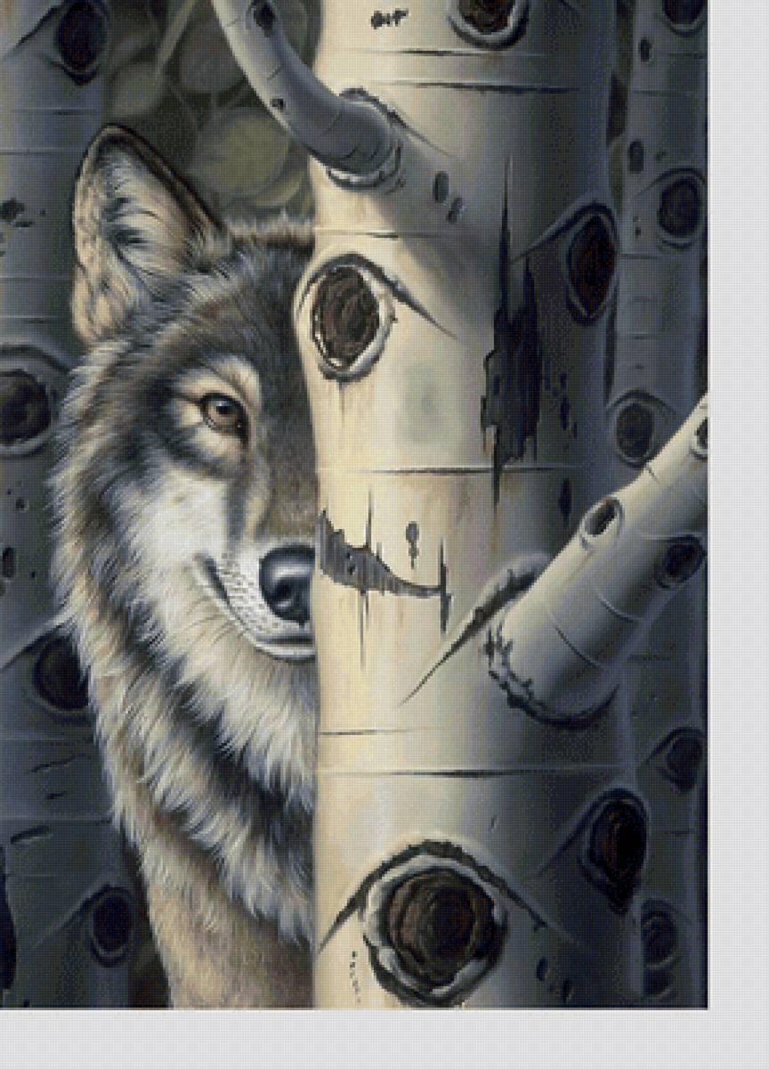 №2272451 - хищники, животные, волки - предпросмотр