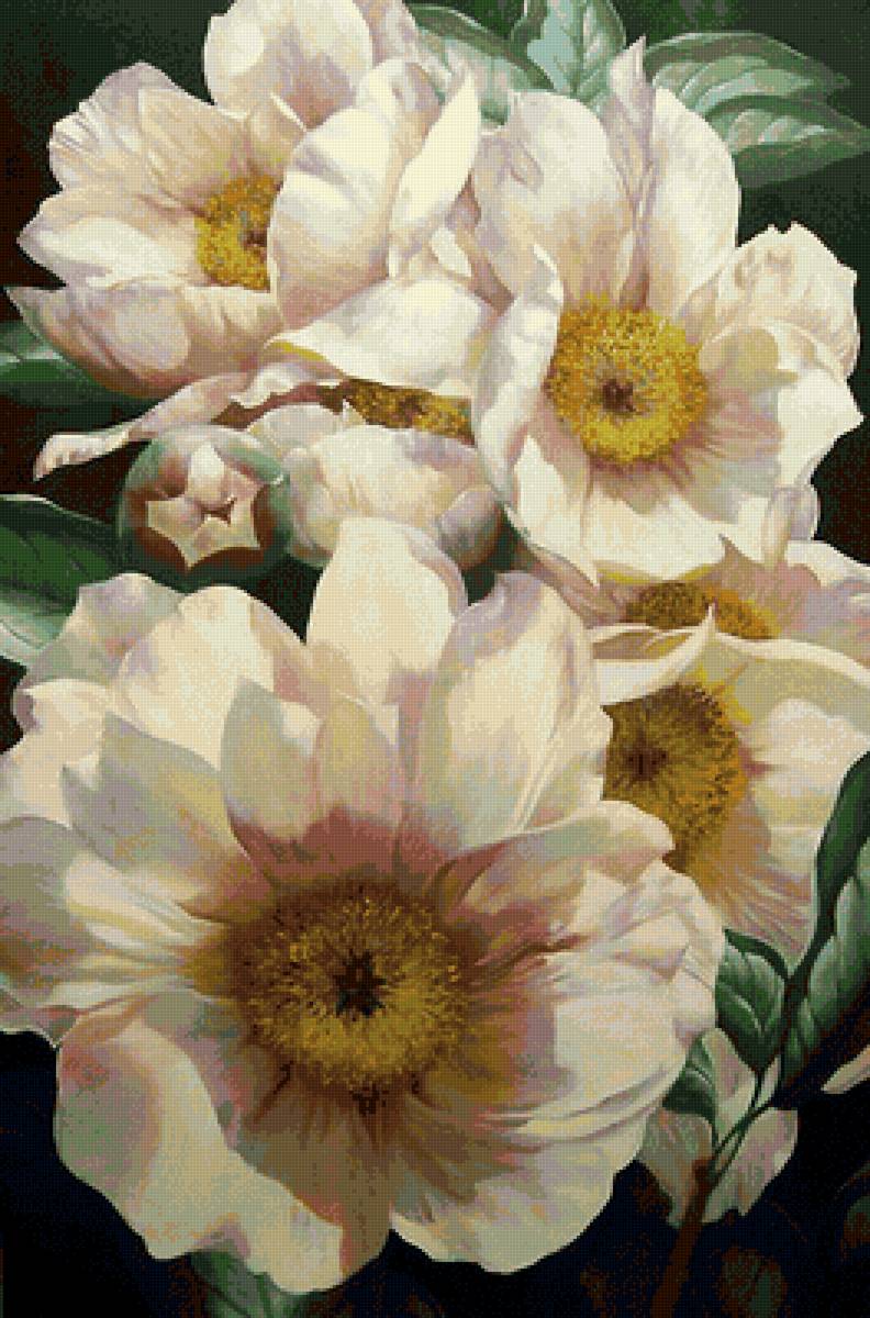 Магнолия - цветы - предпросмотр