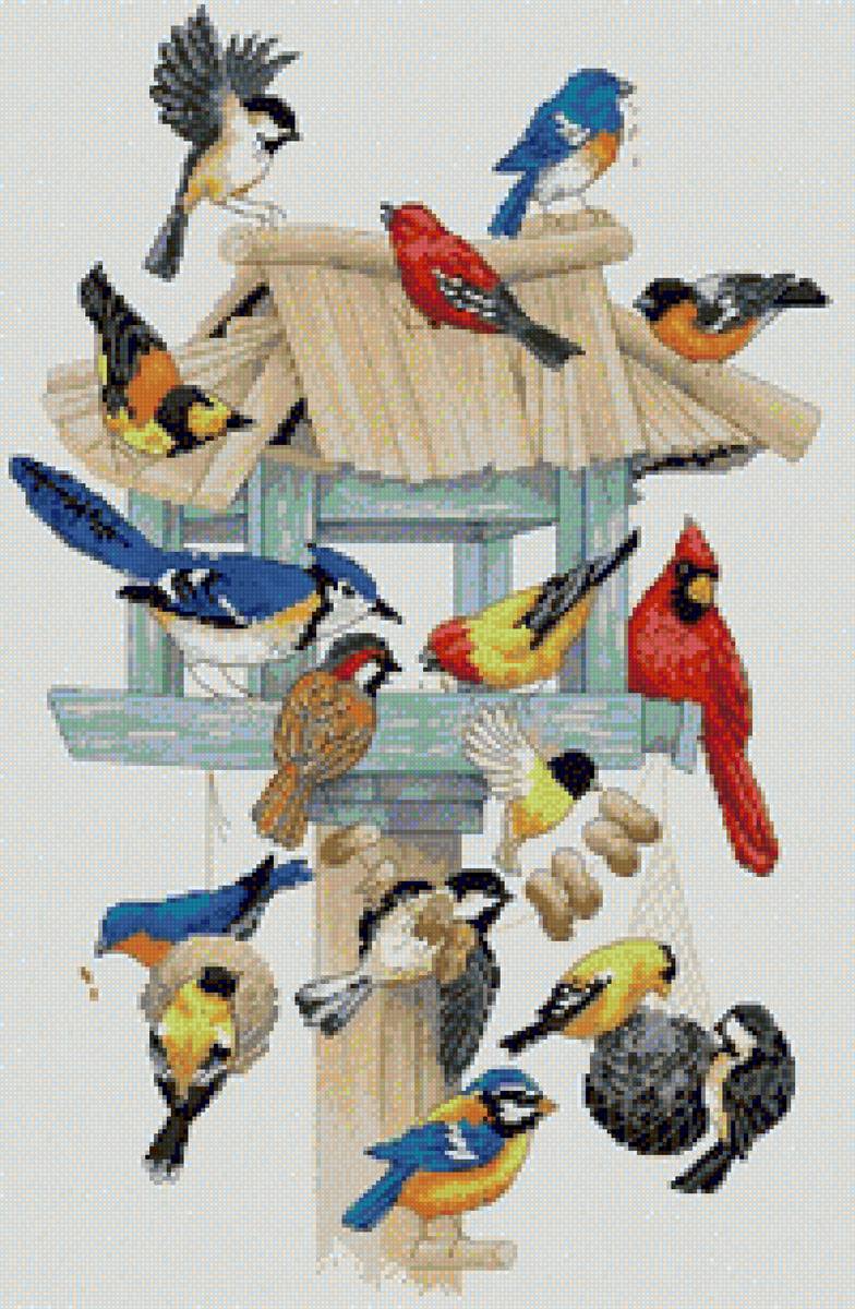 Cardinals and Friends - birds - предпросмотр