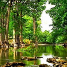 Схема вышивки «Пейзаж»