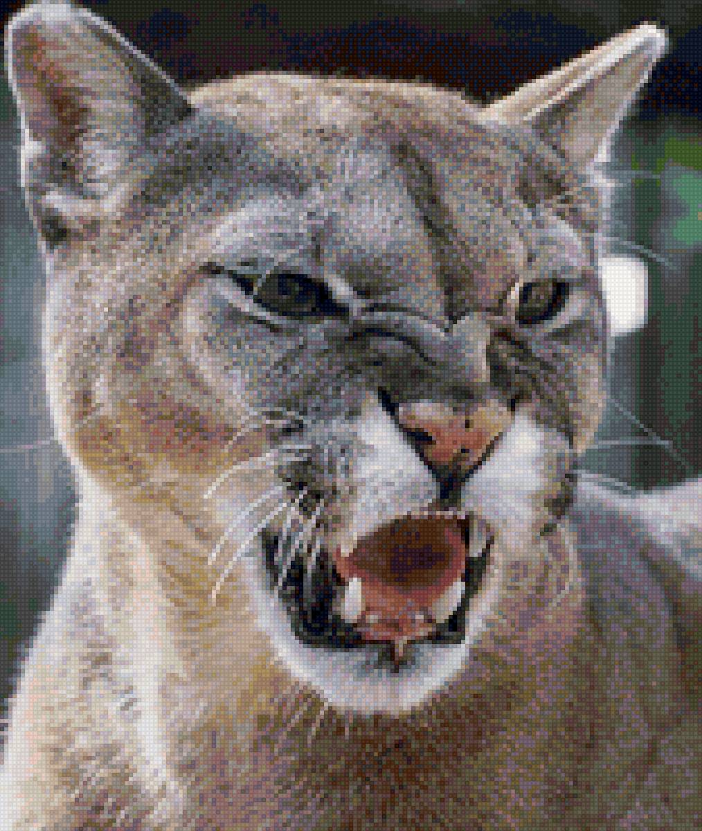 Пума - предпросмотр