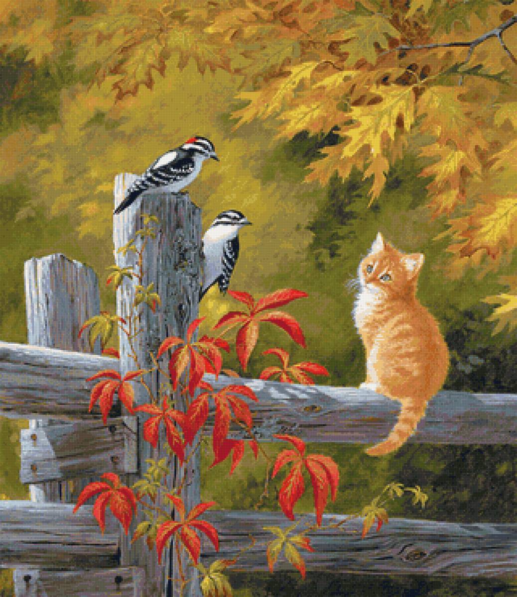 Рыженький котик - птички, котенок, пейзаж, осень - предпросмотр