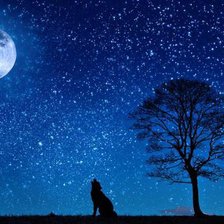 Схема вышивки «№2273291»