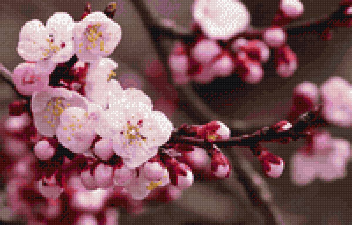 Запах весны - цветение, весна, цветы - предпросмотр