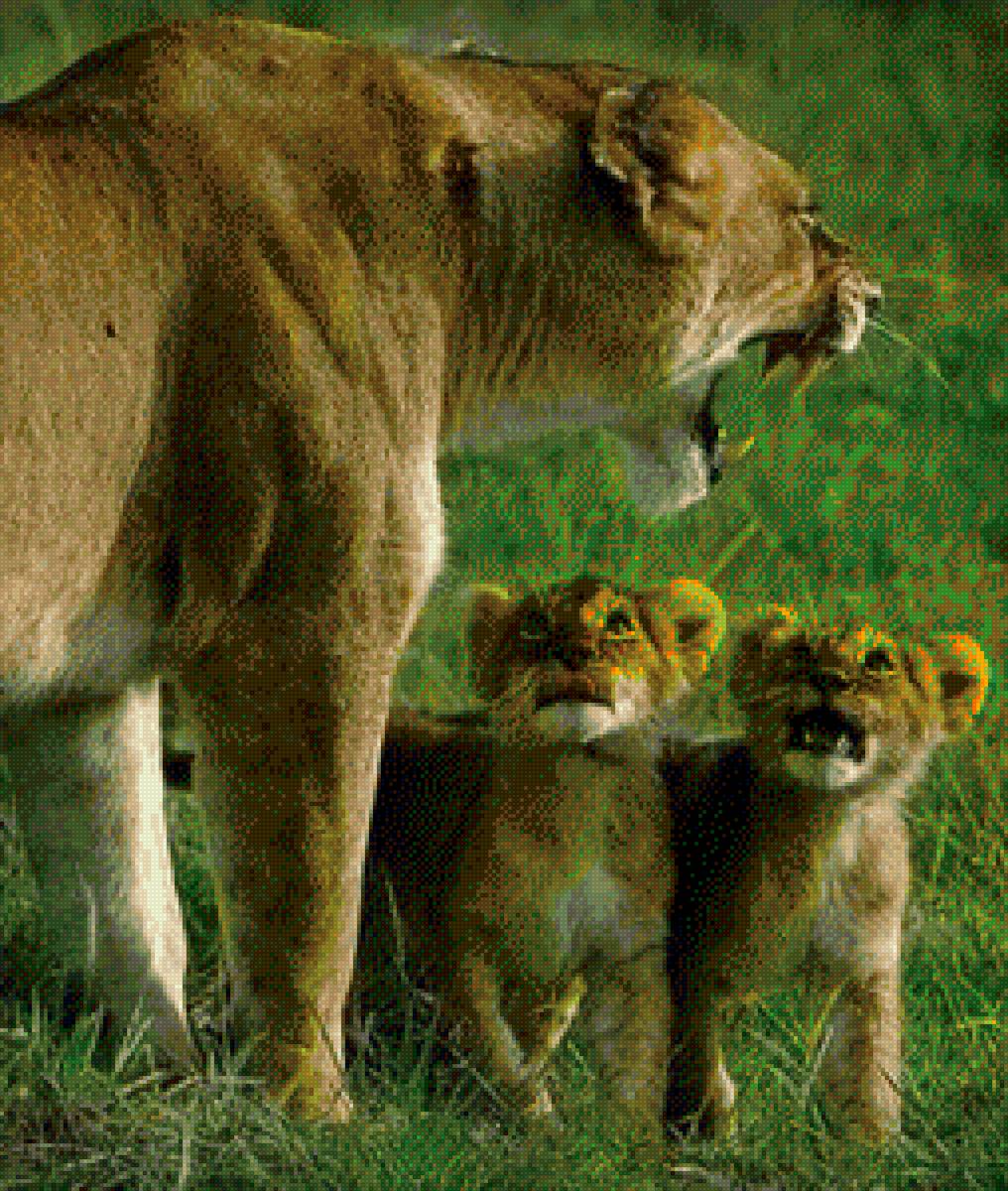 Мама - детеныш, животные, природа, красота - предпросмотр