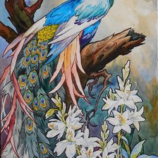 Схема вышивки «Павлин»