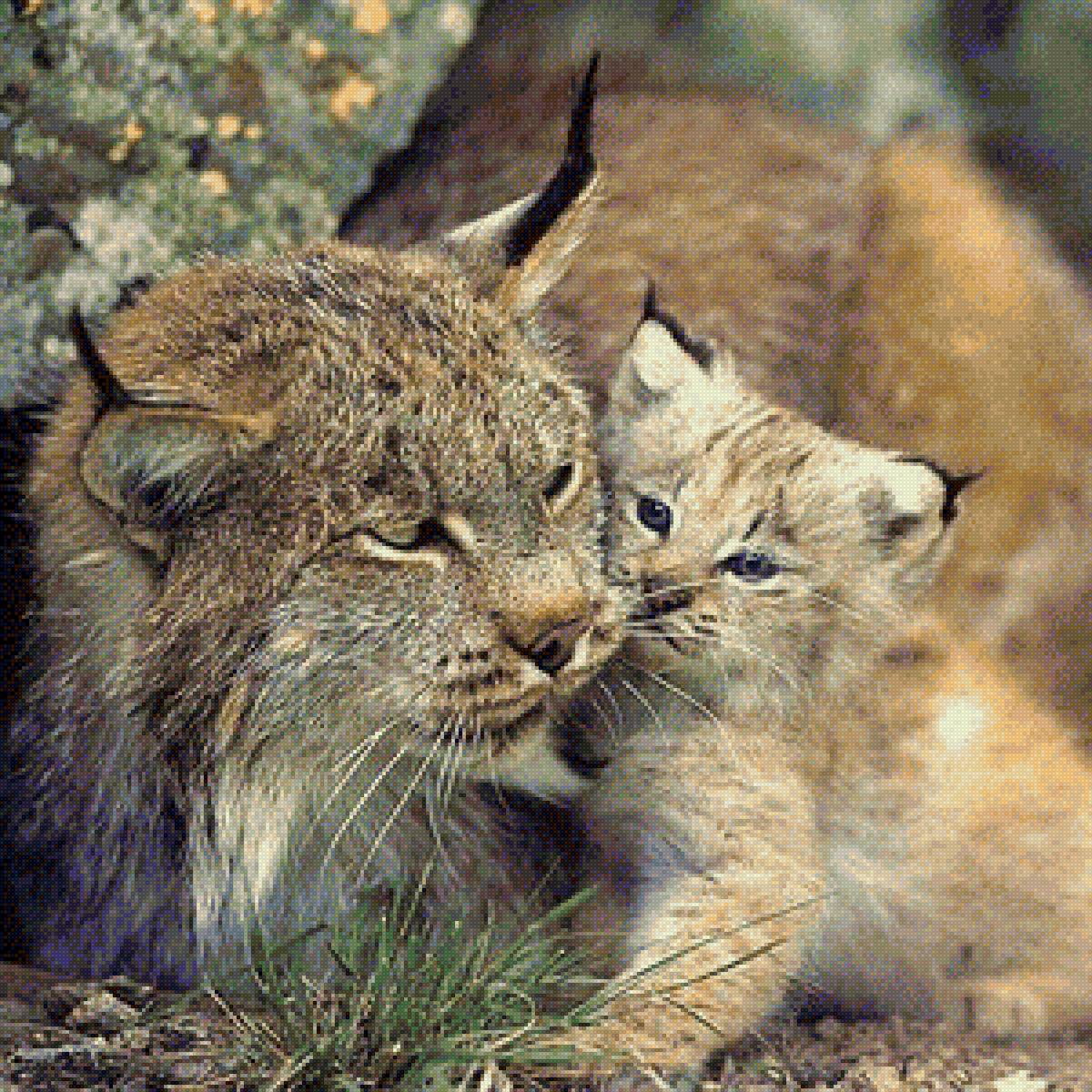 Мама - природа, красота, животные - предпросмотр