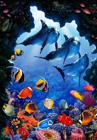 Dolphin Encounter - dolphins - оригинал