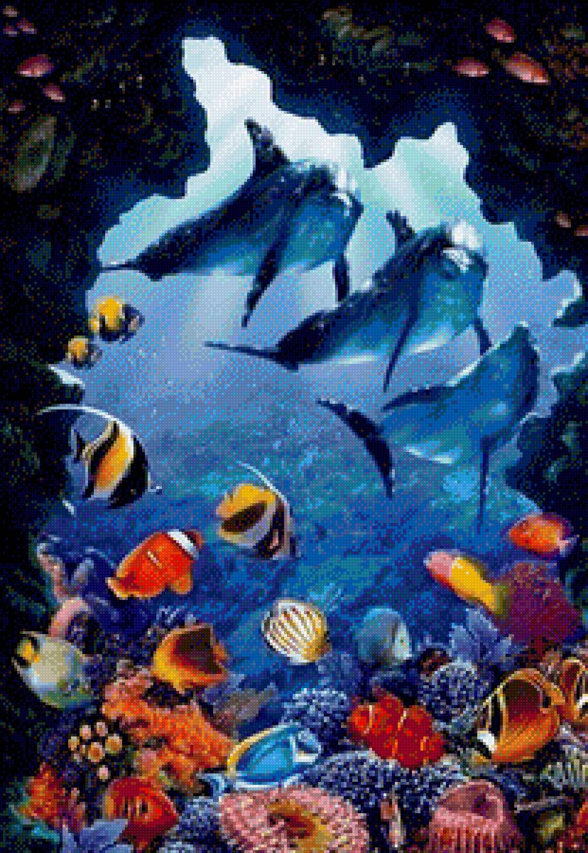 Dolphin Encounter - dolphins - предпросмотр