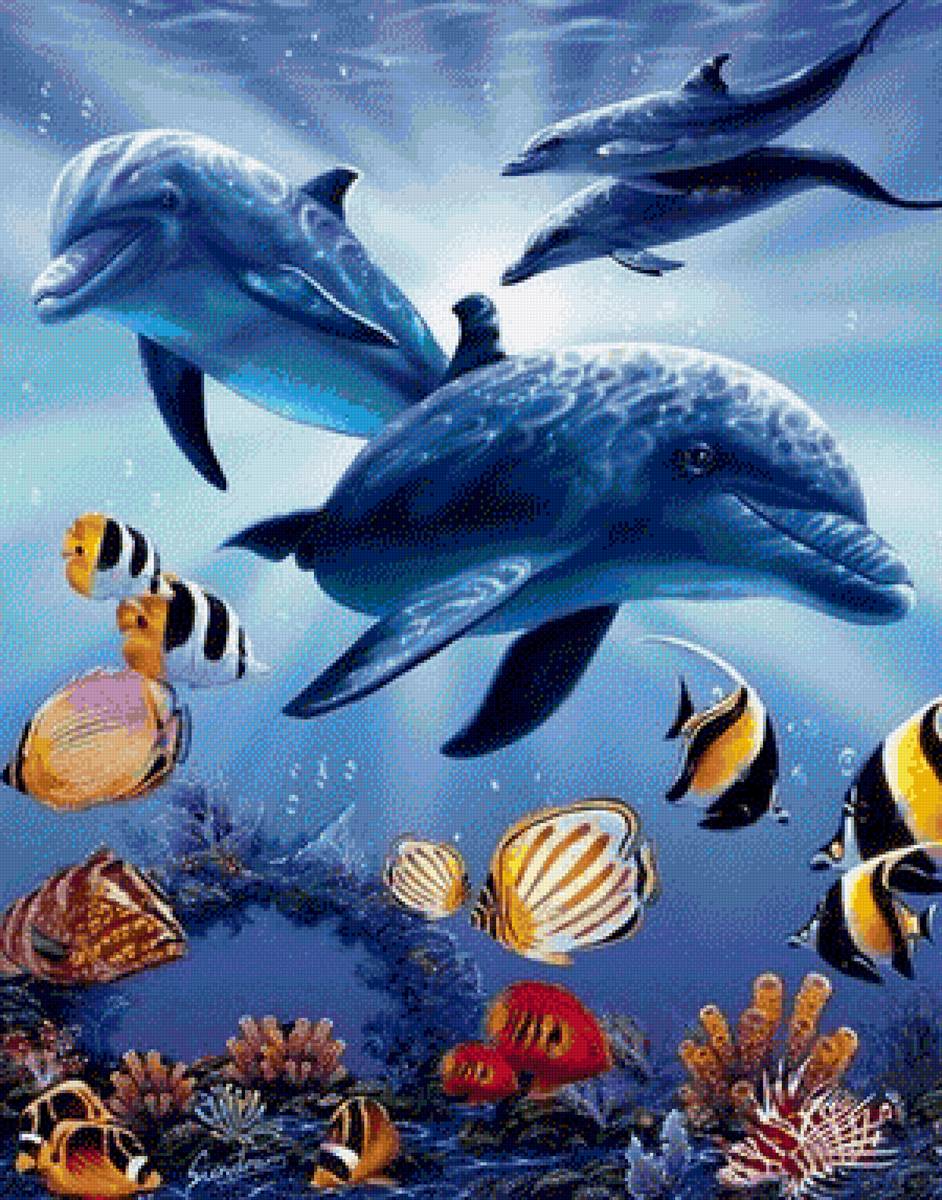 Dolphins in Light - dolphins - предпросмотр