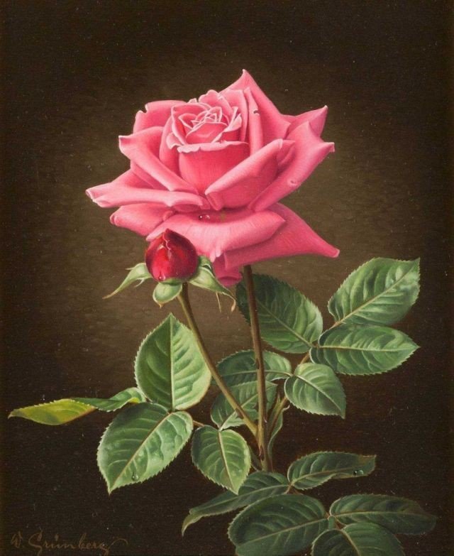 Роза - оригинал