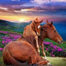 Схема вышивки «Mother Horse and Foal»