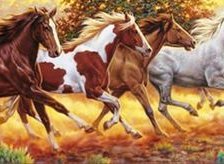 Running Horses