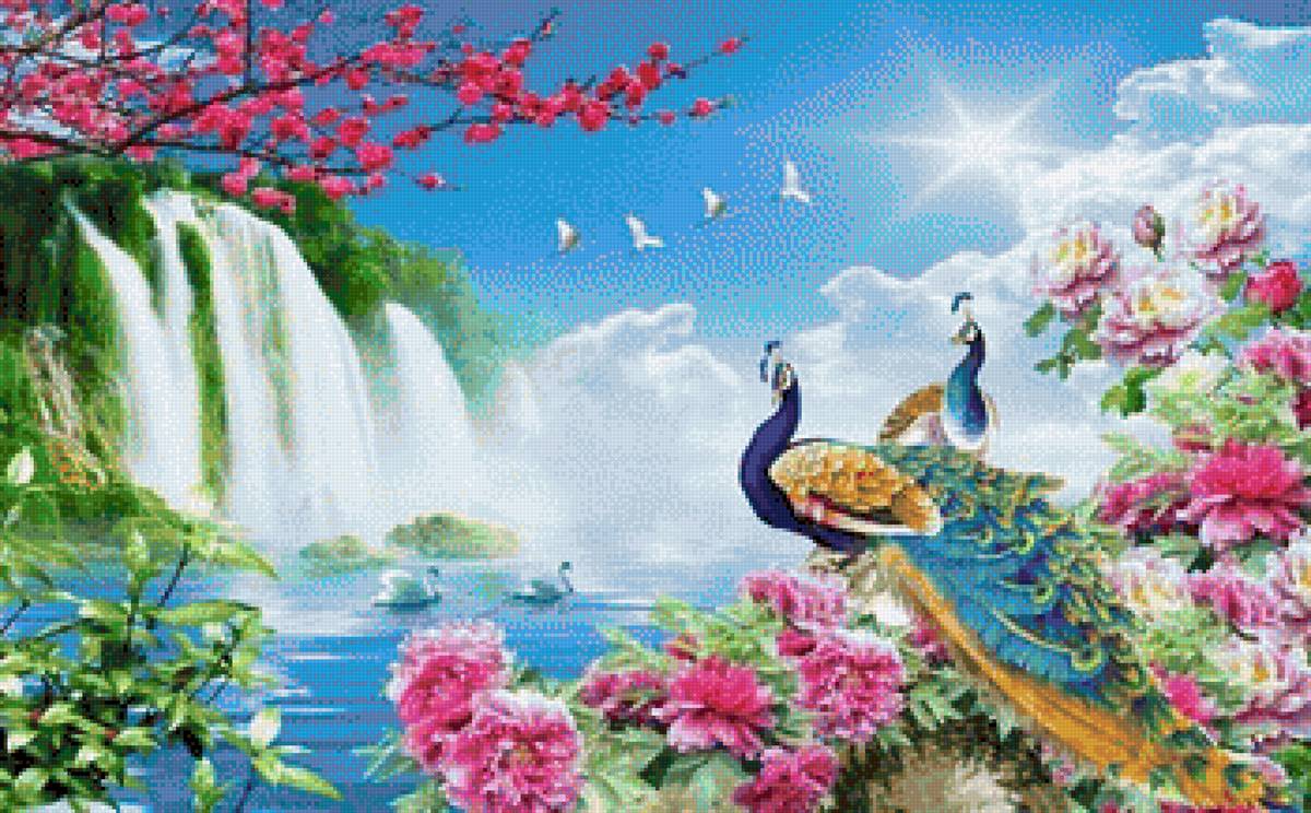 Peacocks at the Waterfall - peacock - предпросмотр