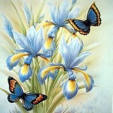 Схема вышивки «Бабочка с цветами»
