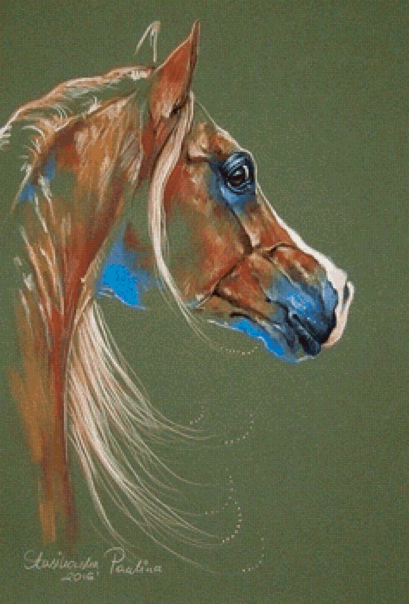 Художник Paulina Stasikowska - лошадь, художник, животные - предпросмотр