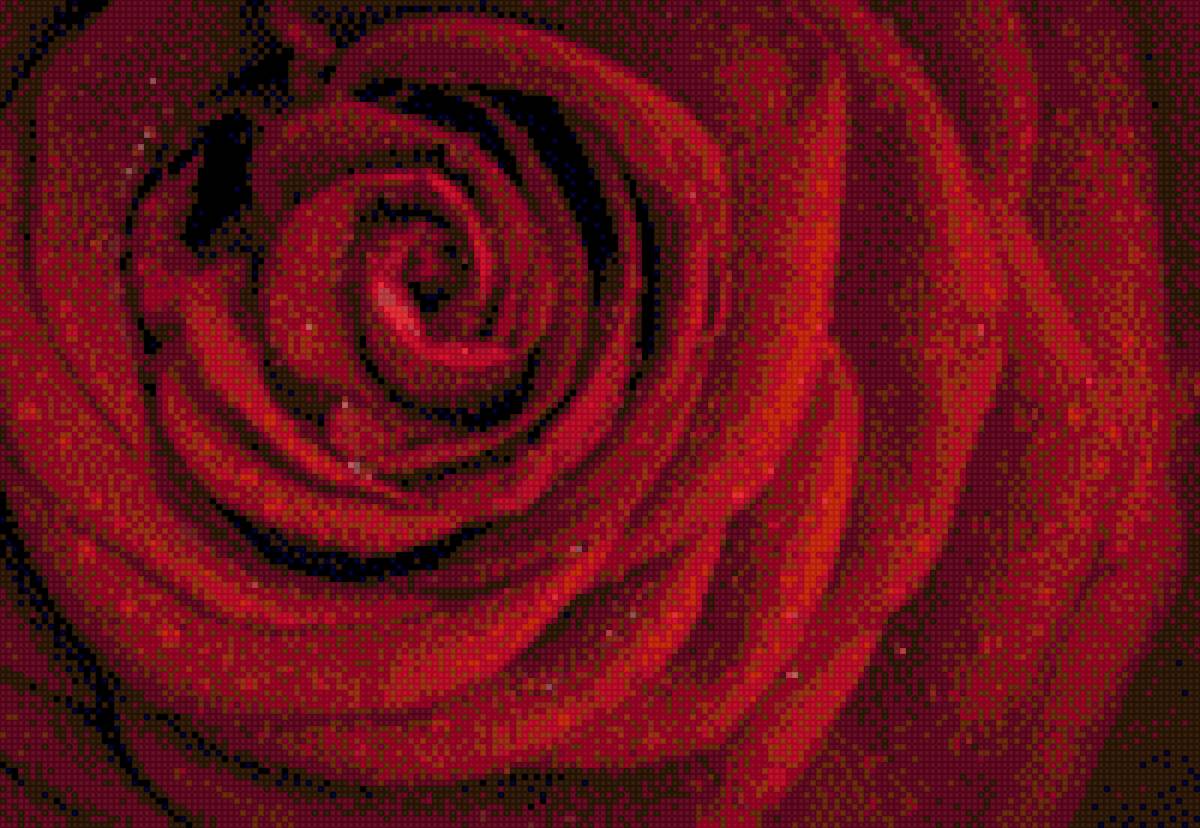 розочка - предпросмотр