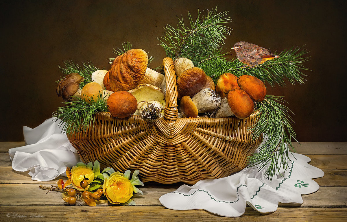 грибы - натюрморт - оригинал