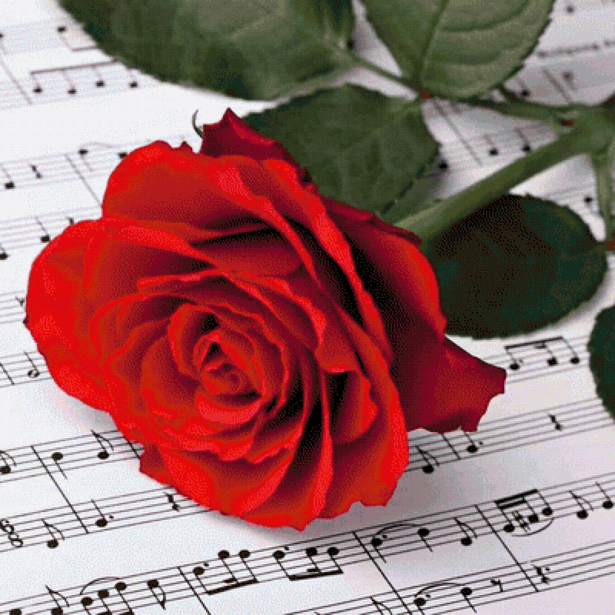 Песни розовый букет. Цветы для музыканта. Музыкальный цветок. Розы и Ноты. Музыкальный букет цветов.
