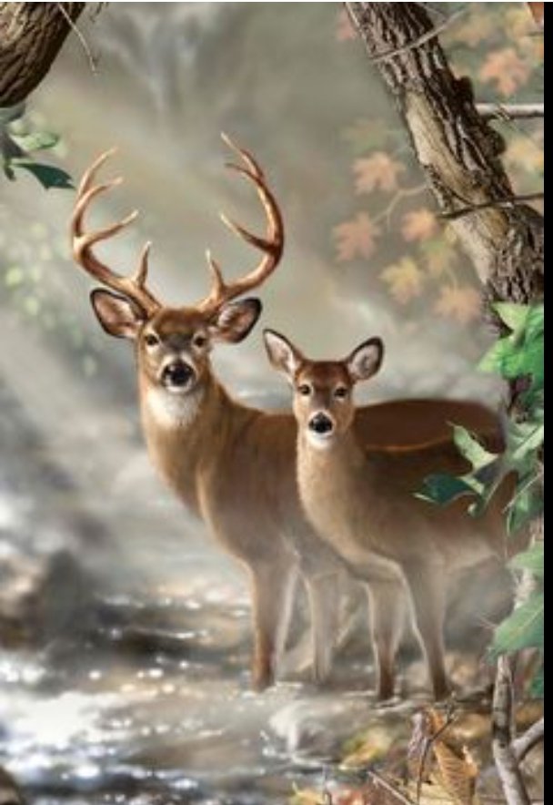 Cervol - animal - оригинал