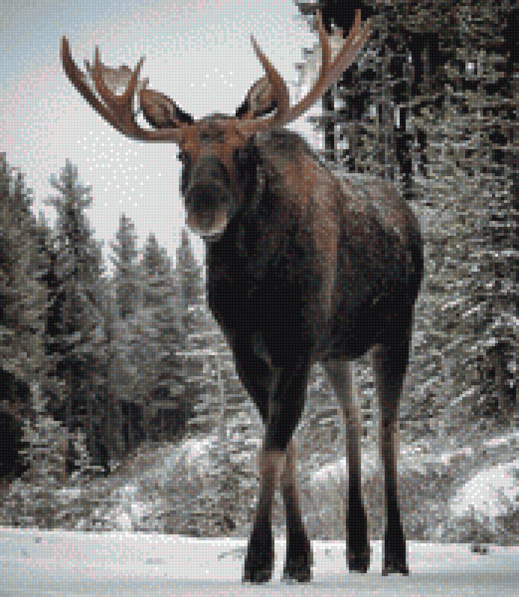 Лось - предпросмотр