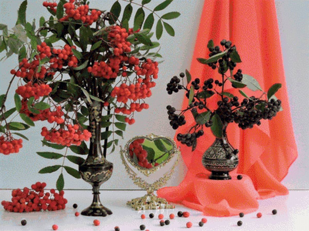 рябины - ягода, рябина - предпросмотр