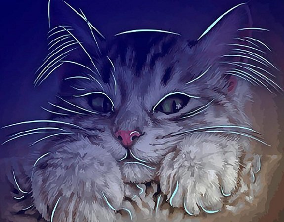 Кот - кот - оригинал