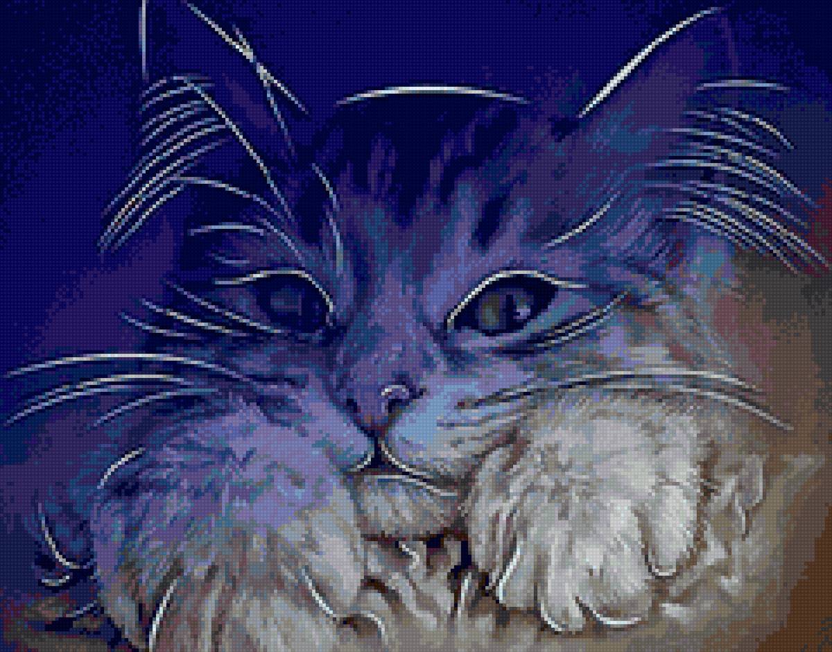 Кот - кот - предпросмотр