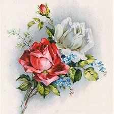 Схема вышивки «Роза»