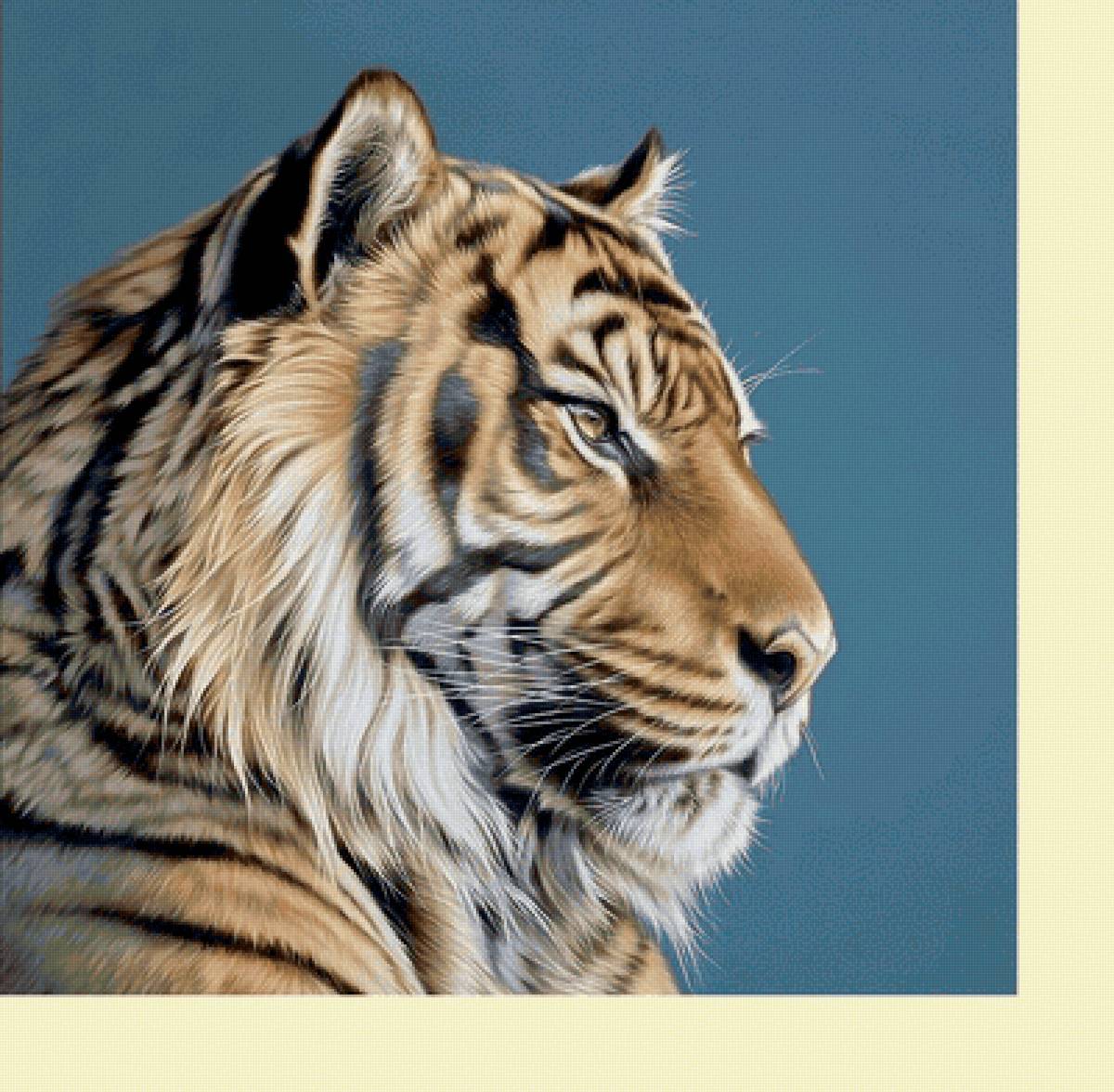 №2277468 - хищники, тигр, тигры, животные - предпросмотр