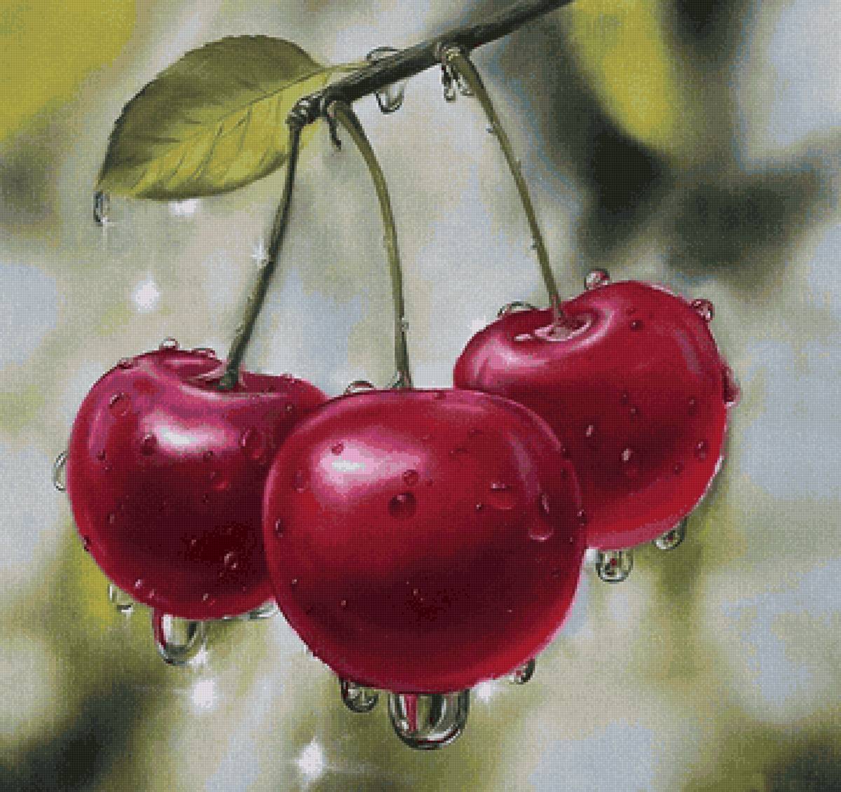 Вишенки - предпросмотр