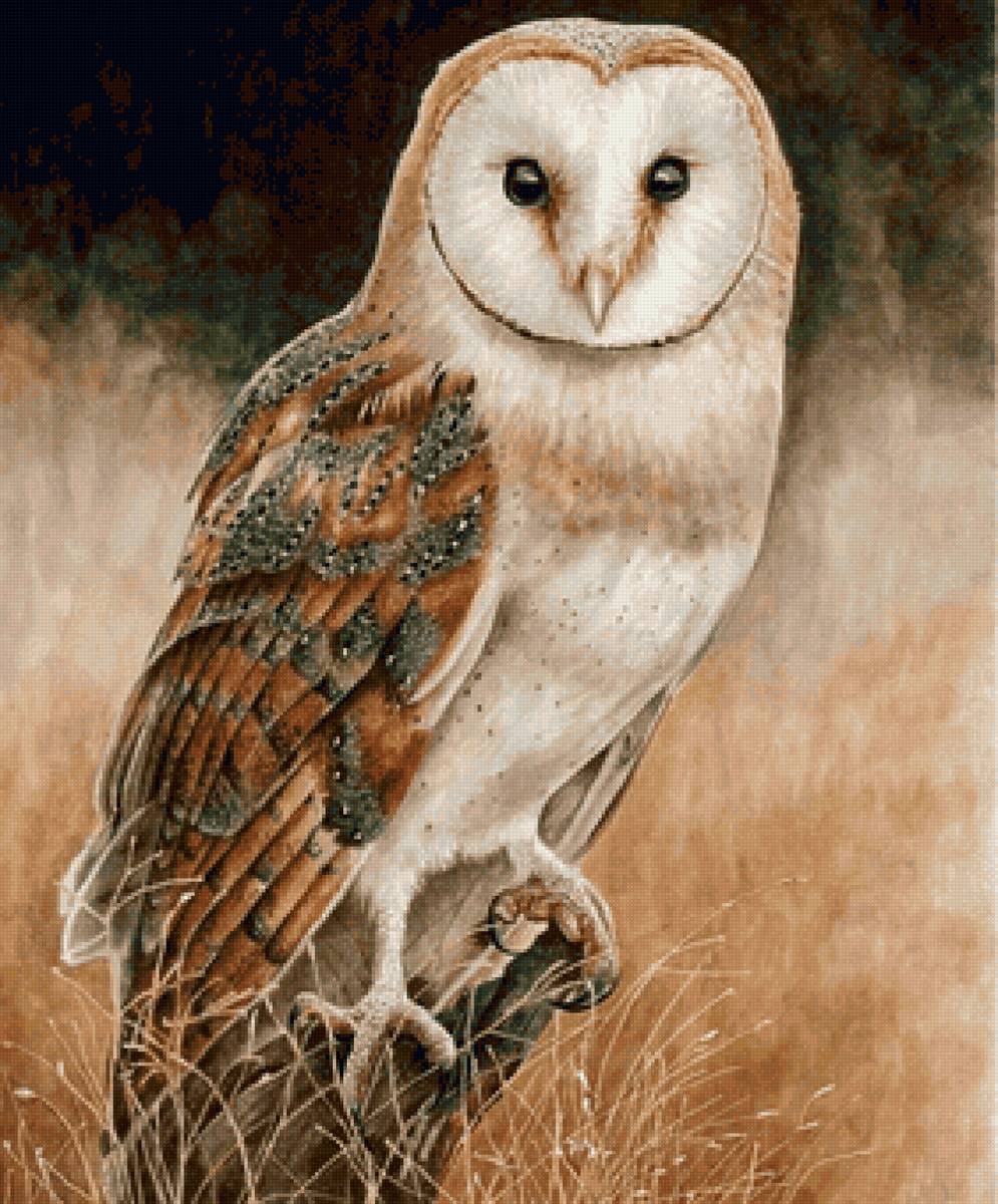 Совушка - предпросмотр