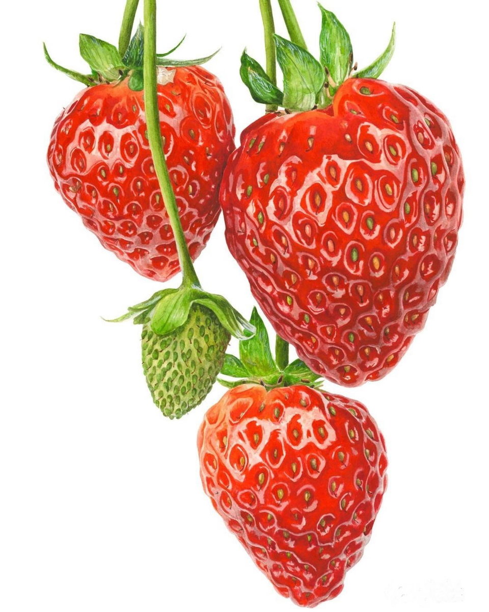 Клубничка - оригинал