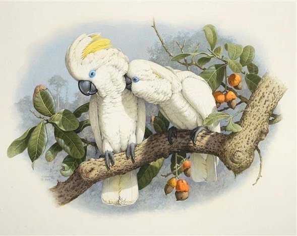 Поговори со мной - оригинал