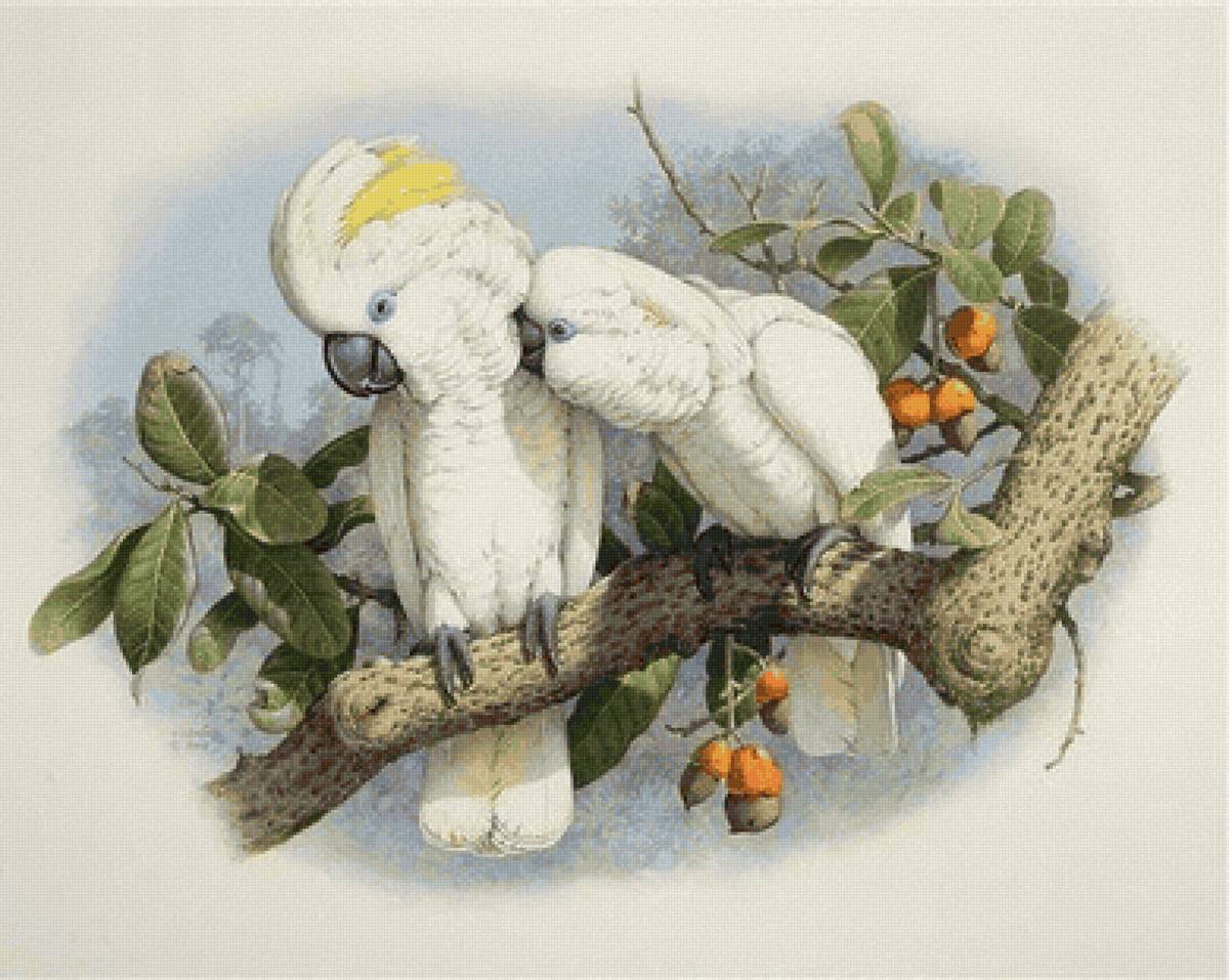 Поговори со мной - предпросмотр