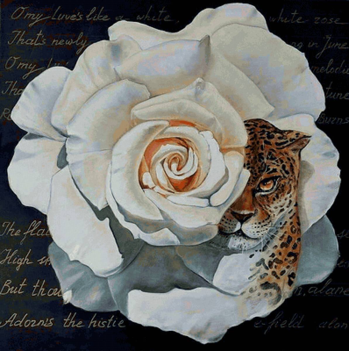 Взгляд розы - предпросмотр