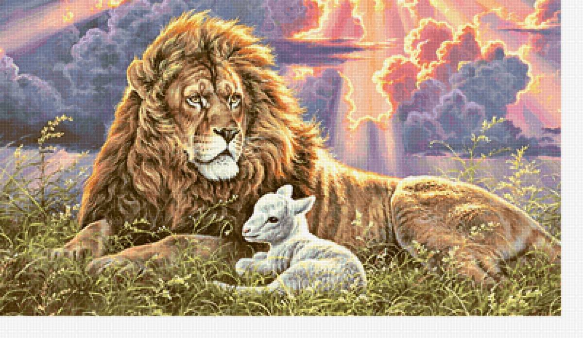 Серия "Хишники". Лев - лев, животные, хищники - предпросмотр