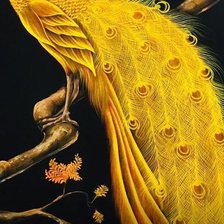 Оригинал схемы вышивки «Yellow Peacock» (№2277918)
