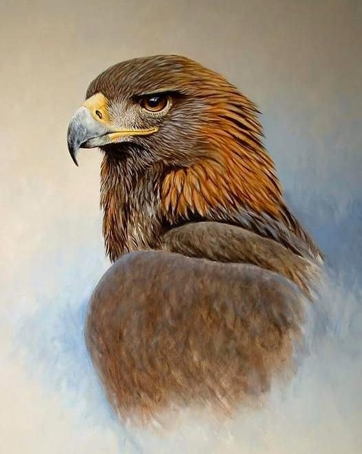 Орел - орел - оригинал