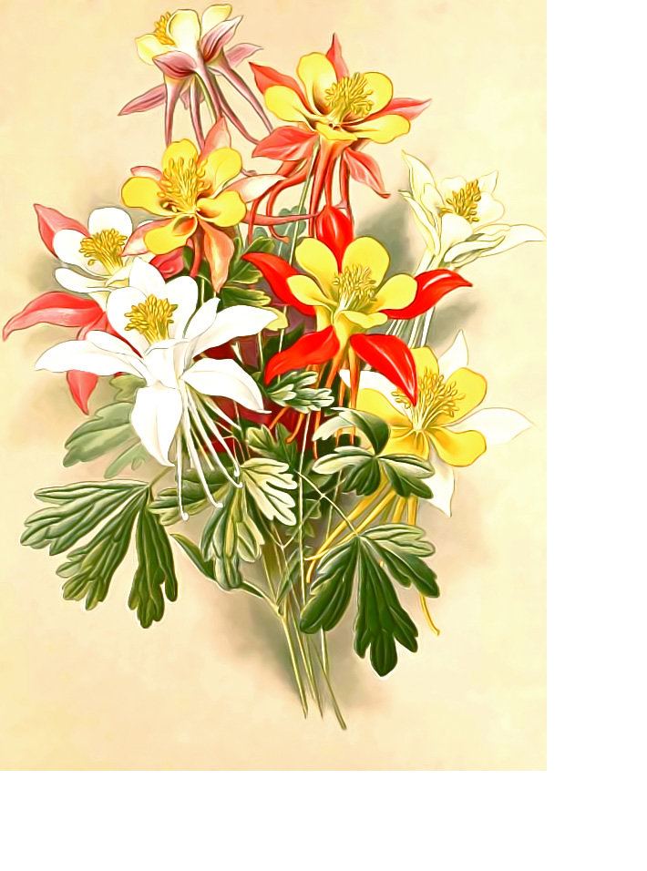 Серия "Цветы". - букет, флора, цветы - оригинал