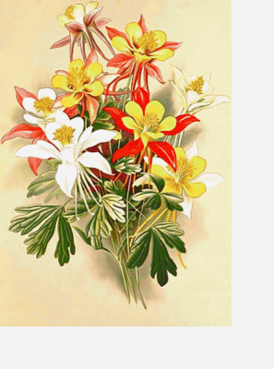 Серия "Цветы". - флора, цветы, букет - предпросмотр