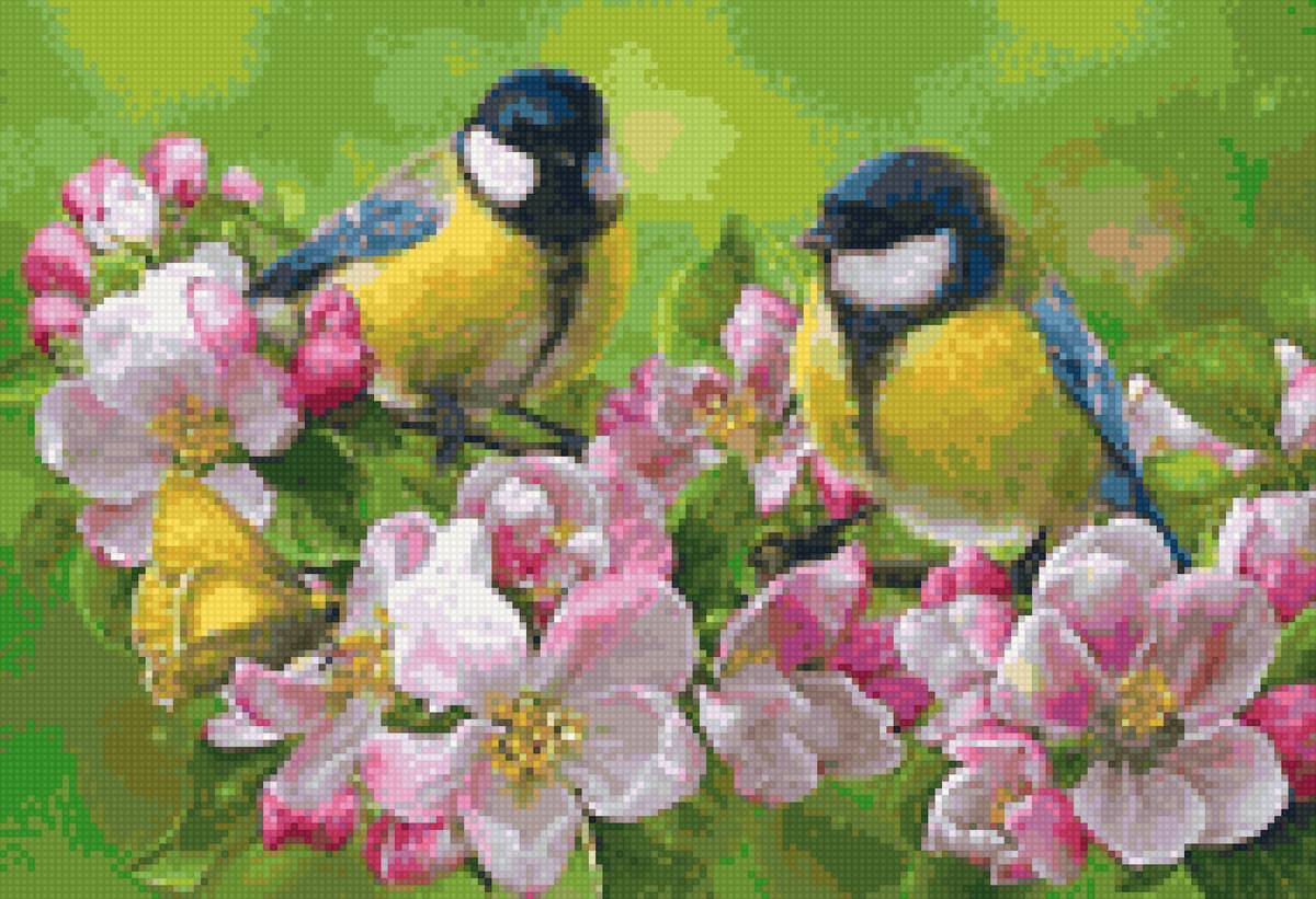 Синички - предпросмотр