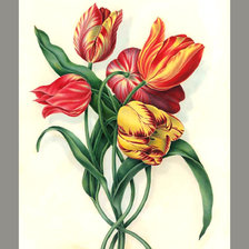 Оригинал схемы вышивки «тюльпаны» (№2278958)