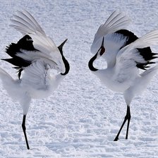 Схема вышивки «Журавли»