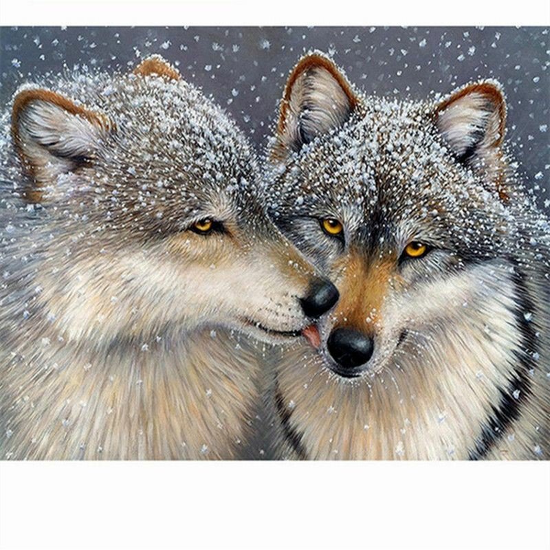 №2279201 - зима, пара, волки, снег - оригинал